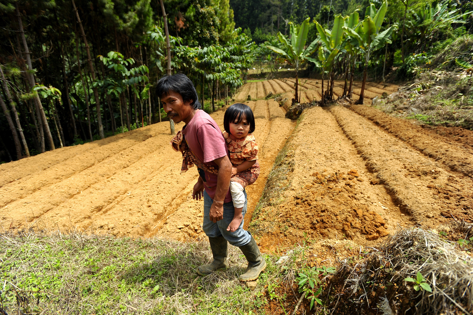 Forests improve the nutrition and health of nearby children