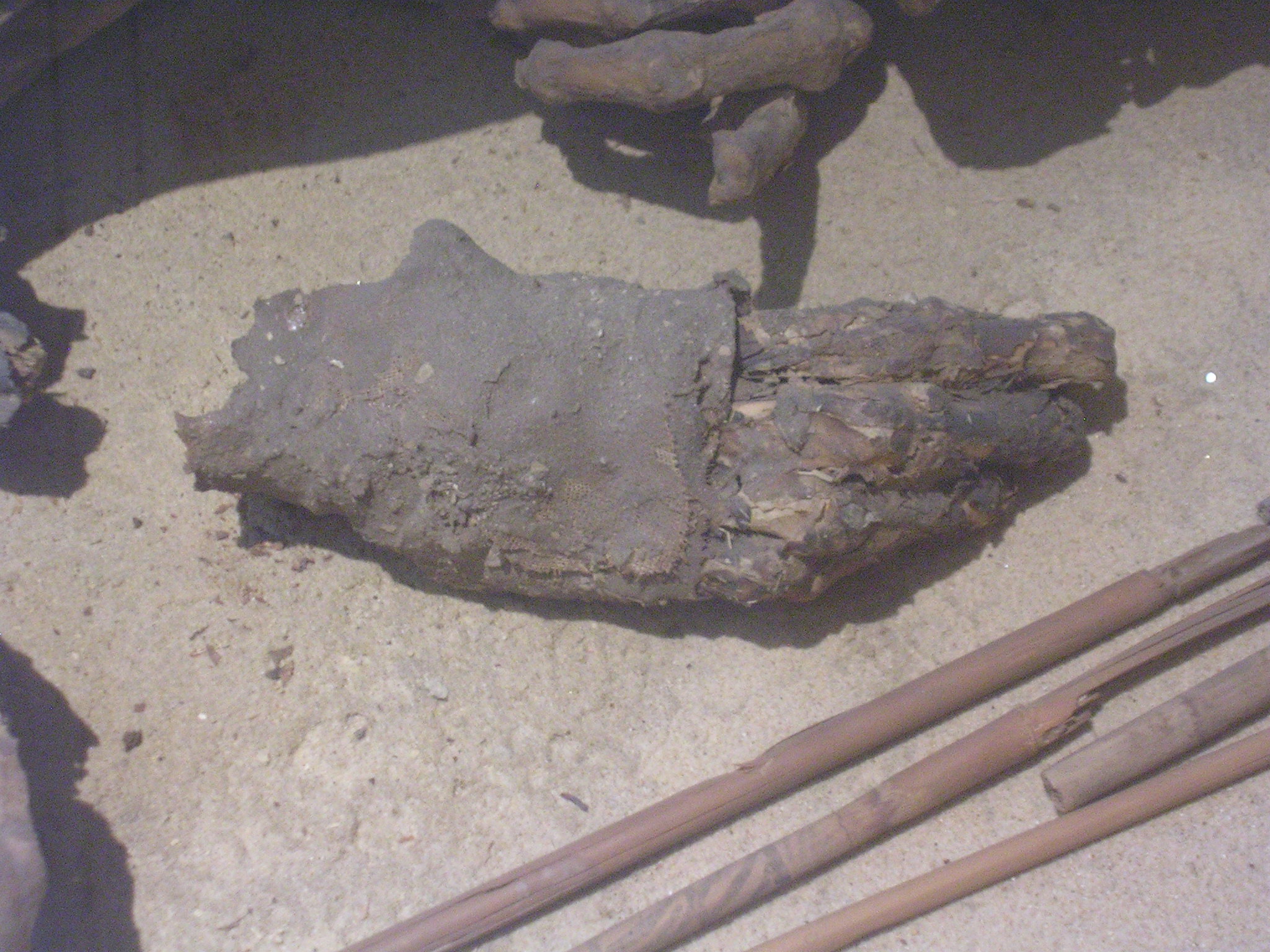 Ancient mummy reveals early Egyptian embalming practices