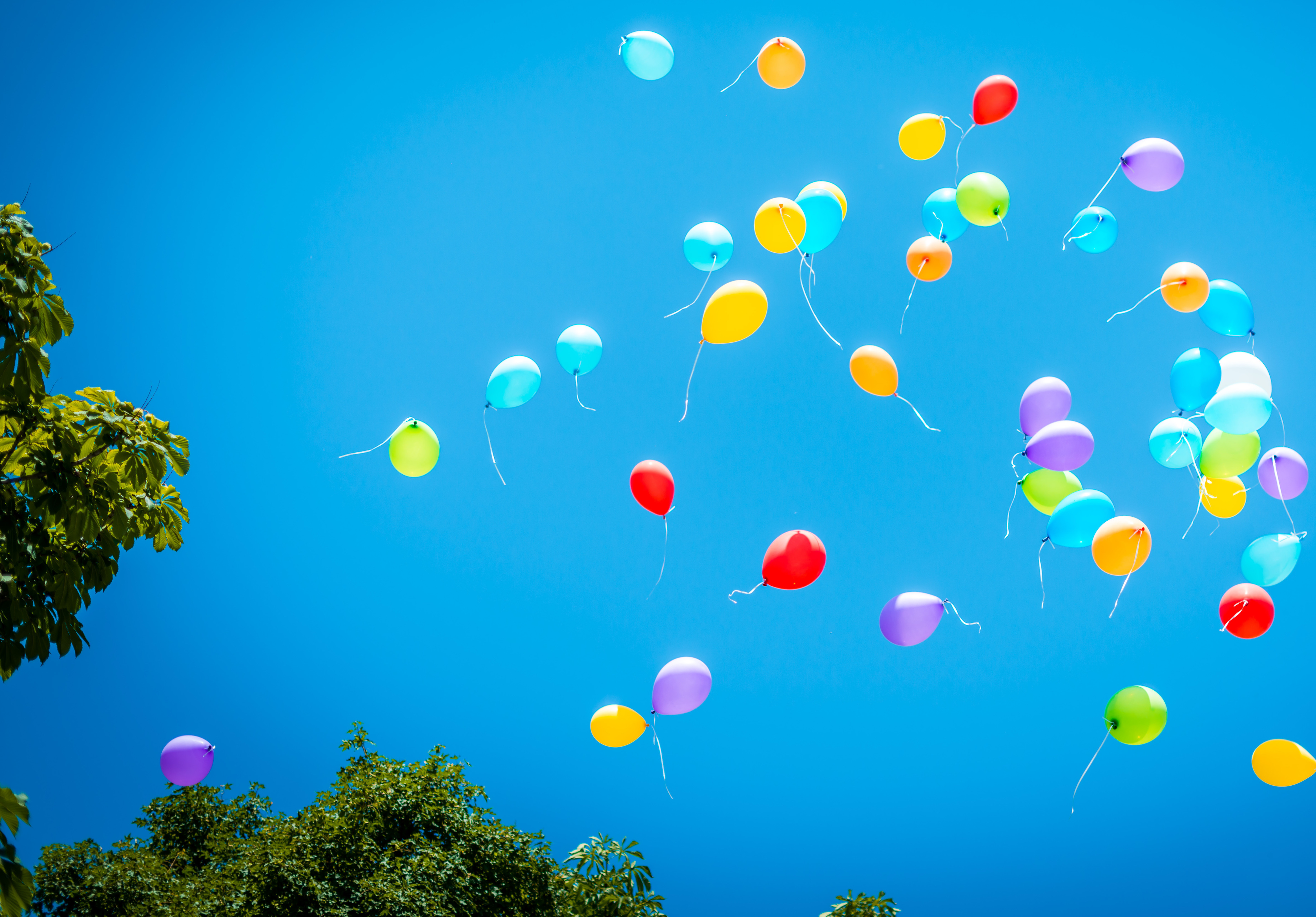 Backlash against balloons reveals their environmental impact
