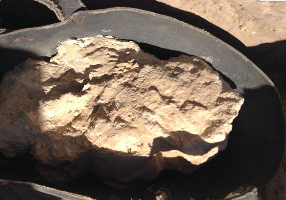 The world’s oldest cheese contains deadly bacteria