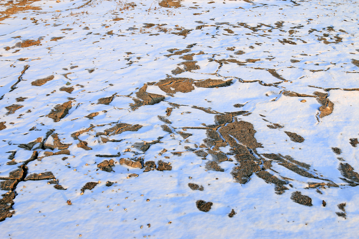 Permafrost is thawing and could release huge amounts of CO2