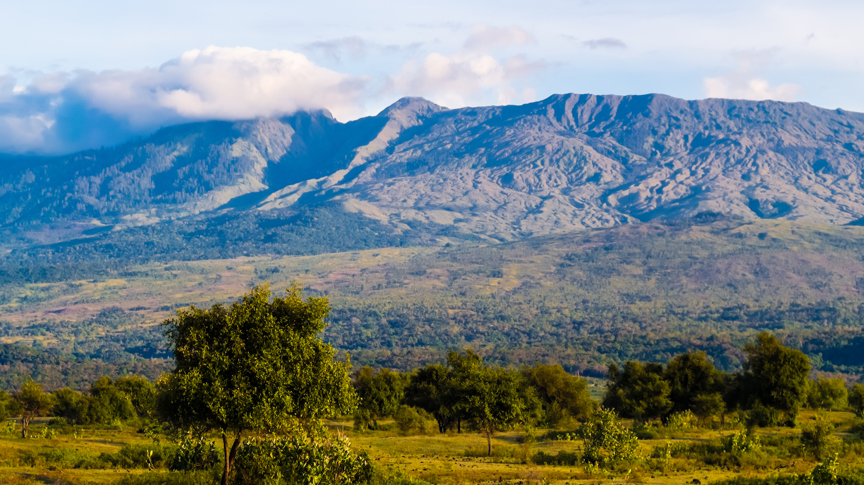 An Indonesian volcano eruption influenced the defeat of Napoleon