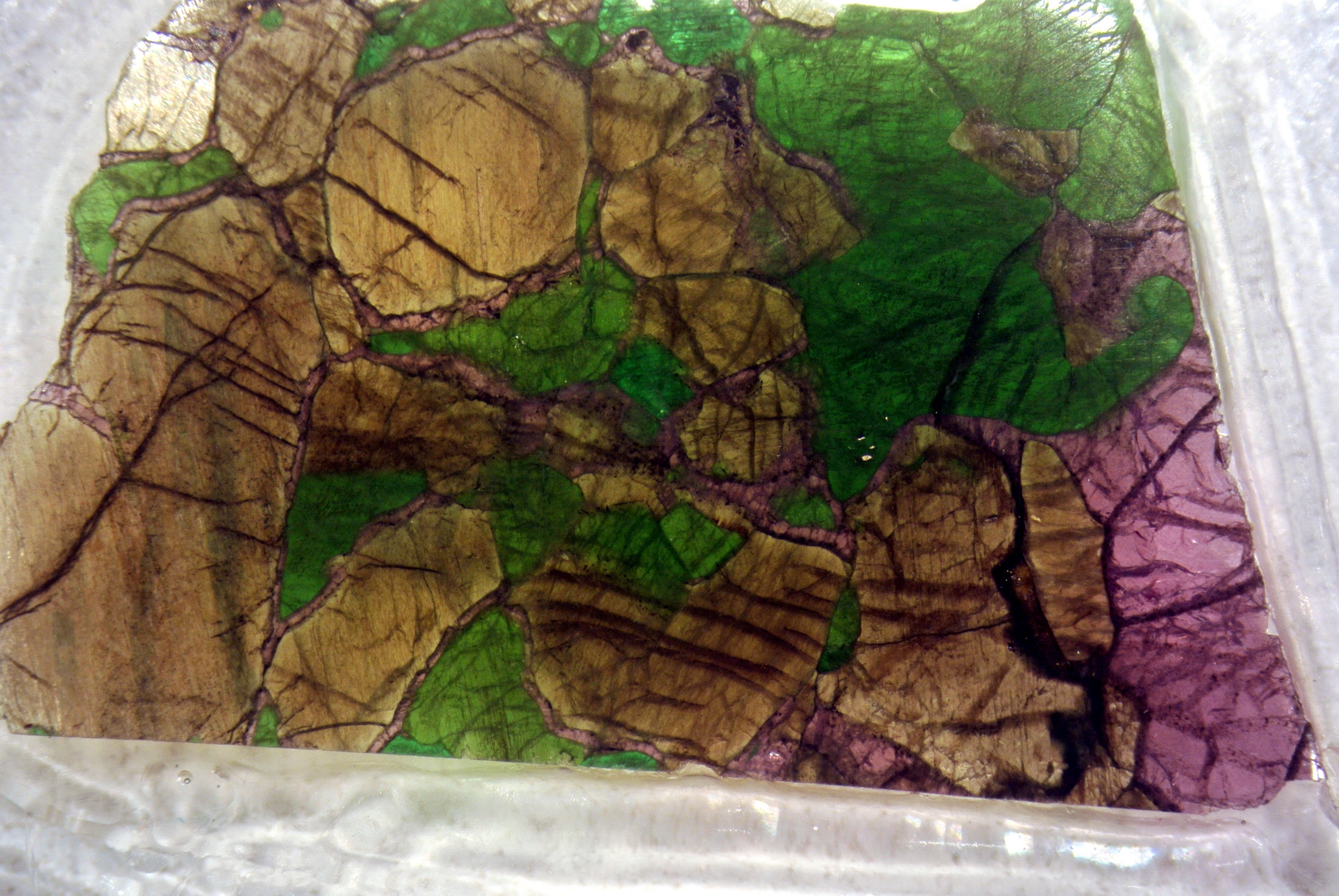 The driving forces behind the largest extinction event ever