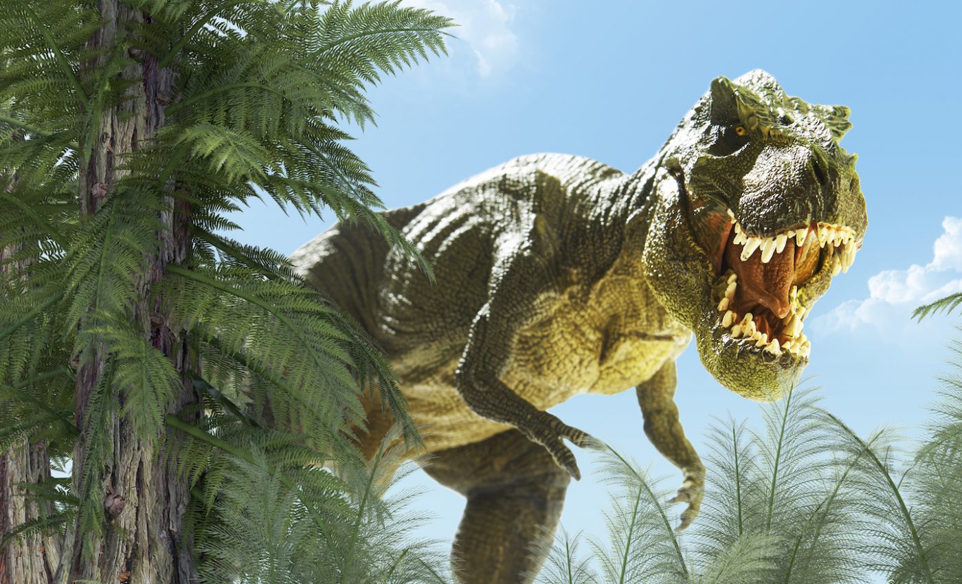 Dinosaurs had DNA that provided a “blueprint” for success