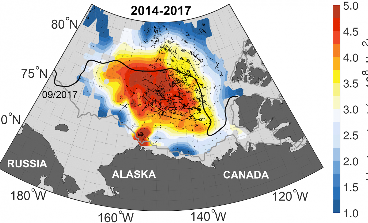 Warm water trapped beneath the Arctic could melt entire ice cover