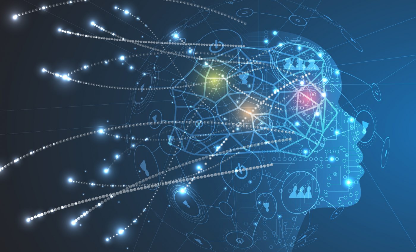 All brains are composed of the same spectrum of neural links