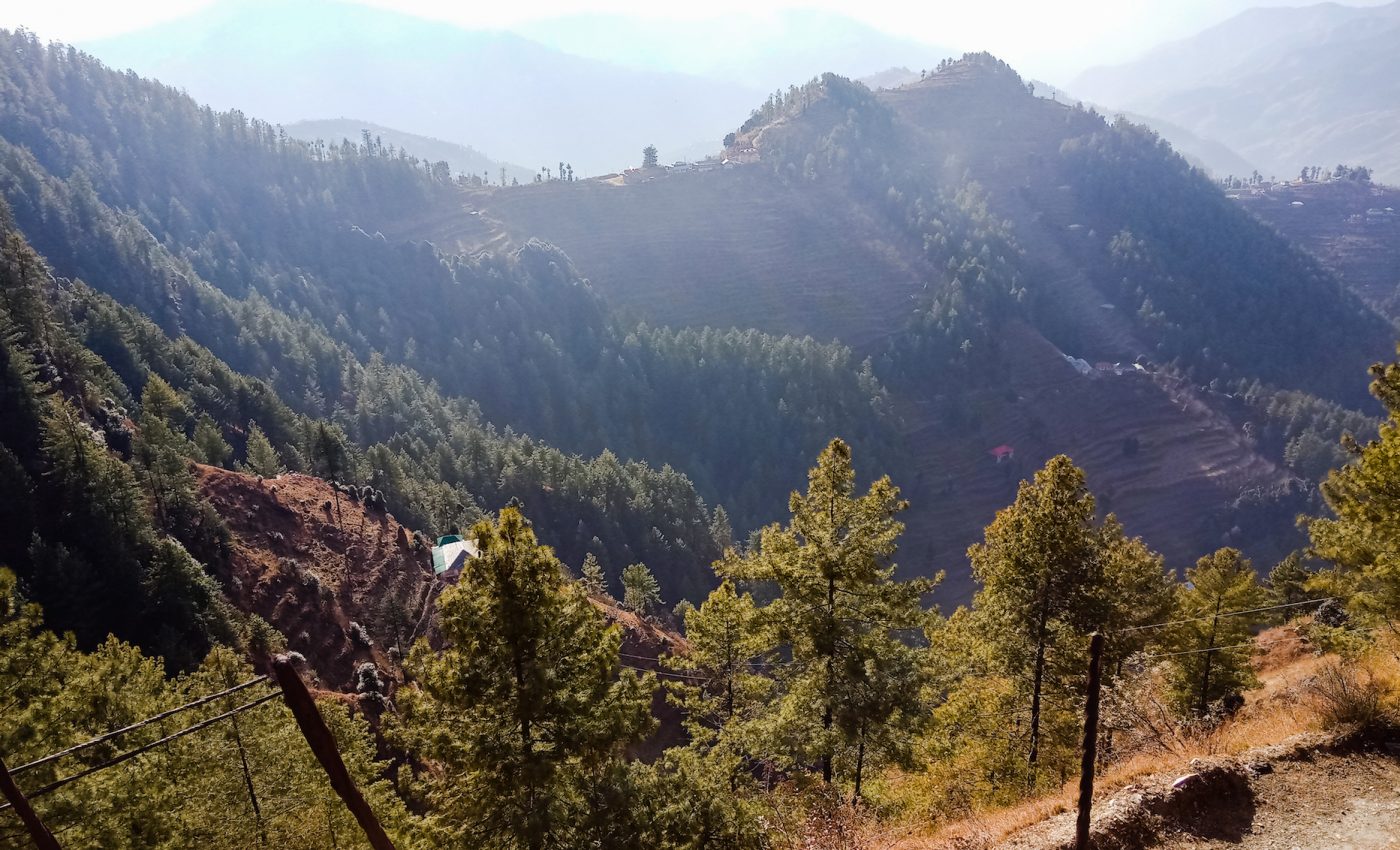 Climate change could spur drastic changes in global vegetation