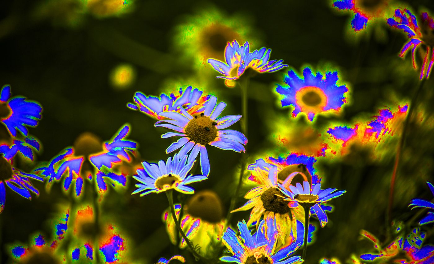 First ever study launched to explore benefits of microdosing LSD