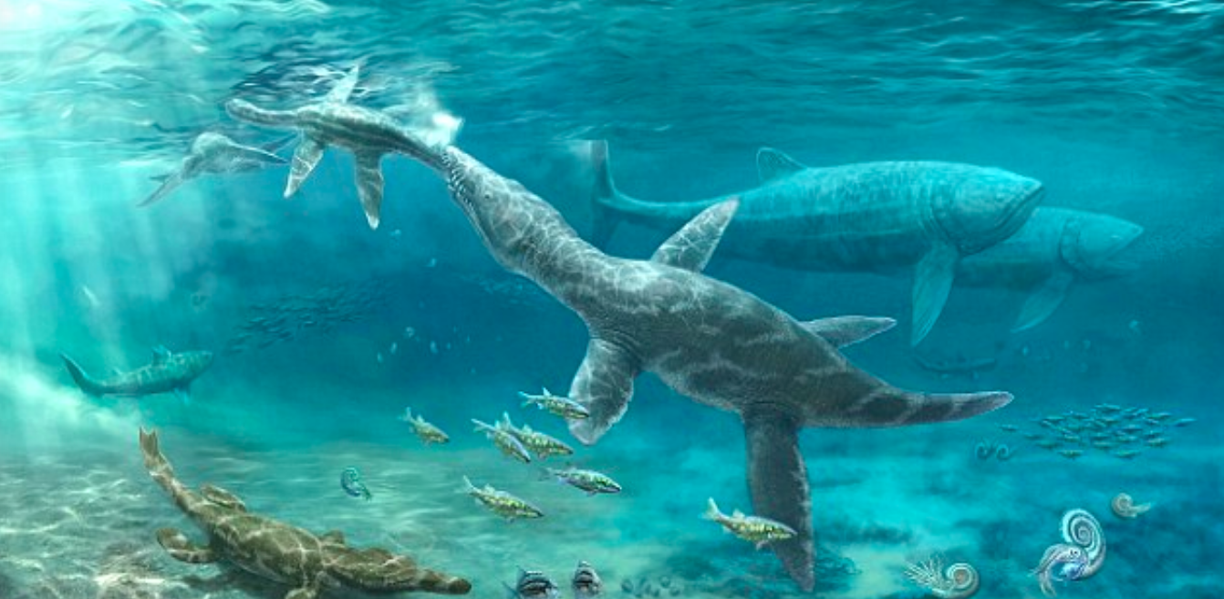 Deep ocean predators thrived during ancient climate change