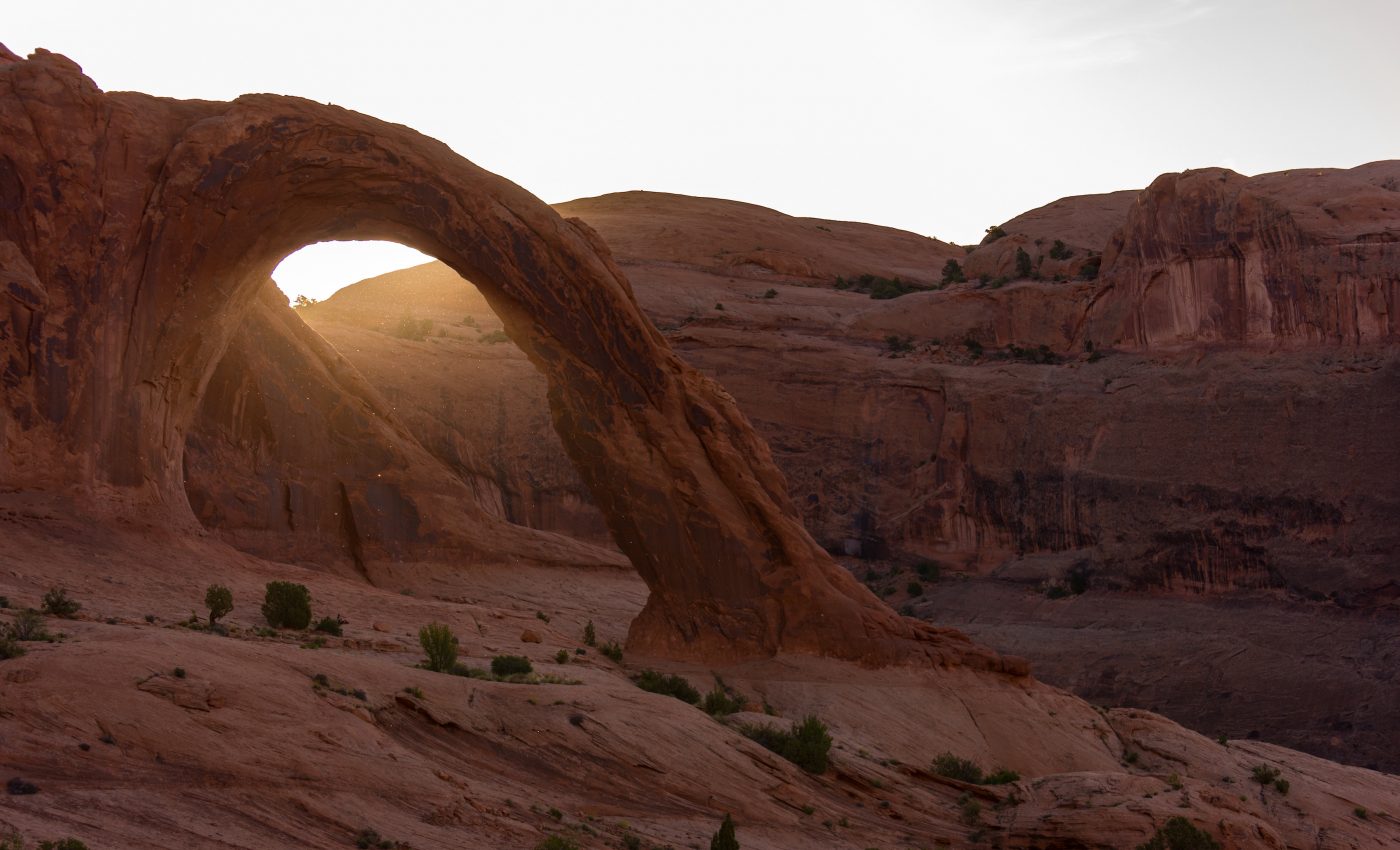 Ecotourism and the rapidly changing New West