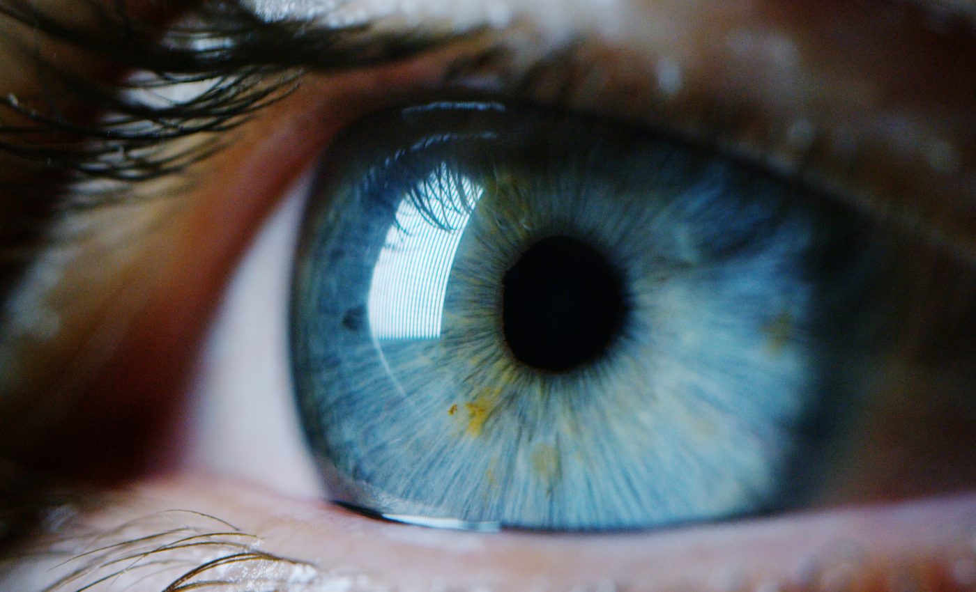 How our eyes adapt and reprogram to see at night