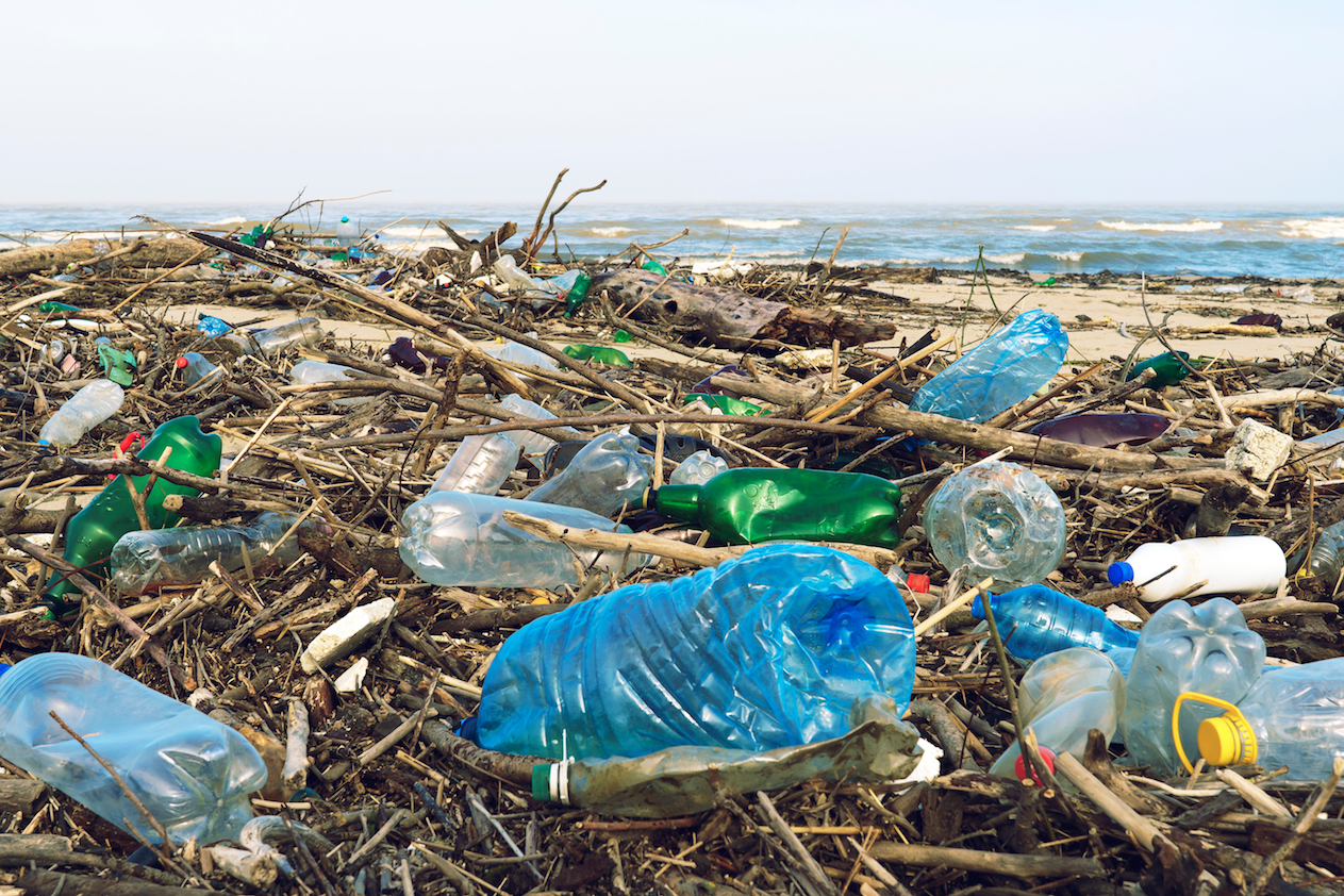 Special fungus can break down plastic in a matter of weeks