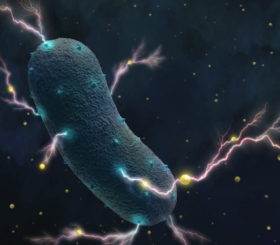Your gut bacteria actually produce electricity in a unique way
