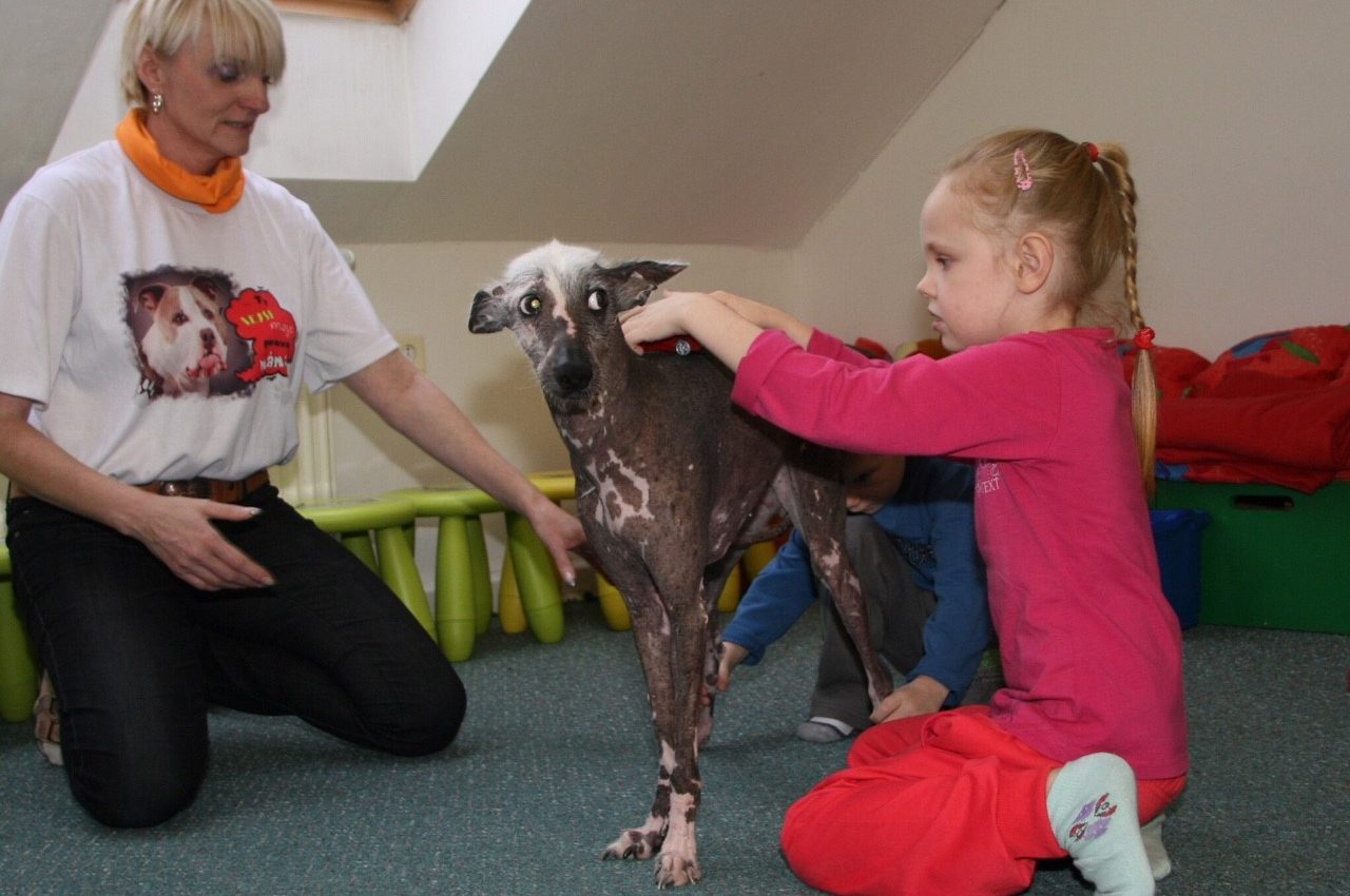 Dog-assisted speech therapy found to be effective with children