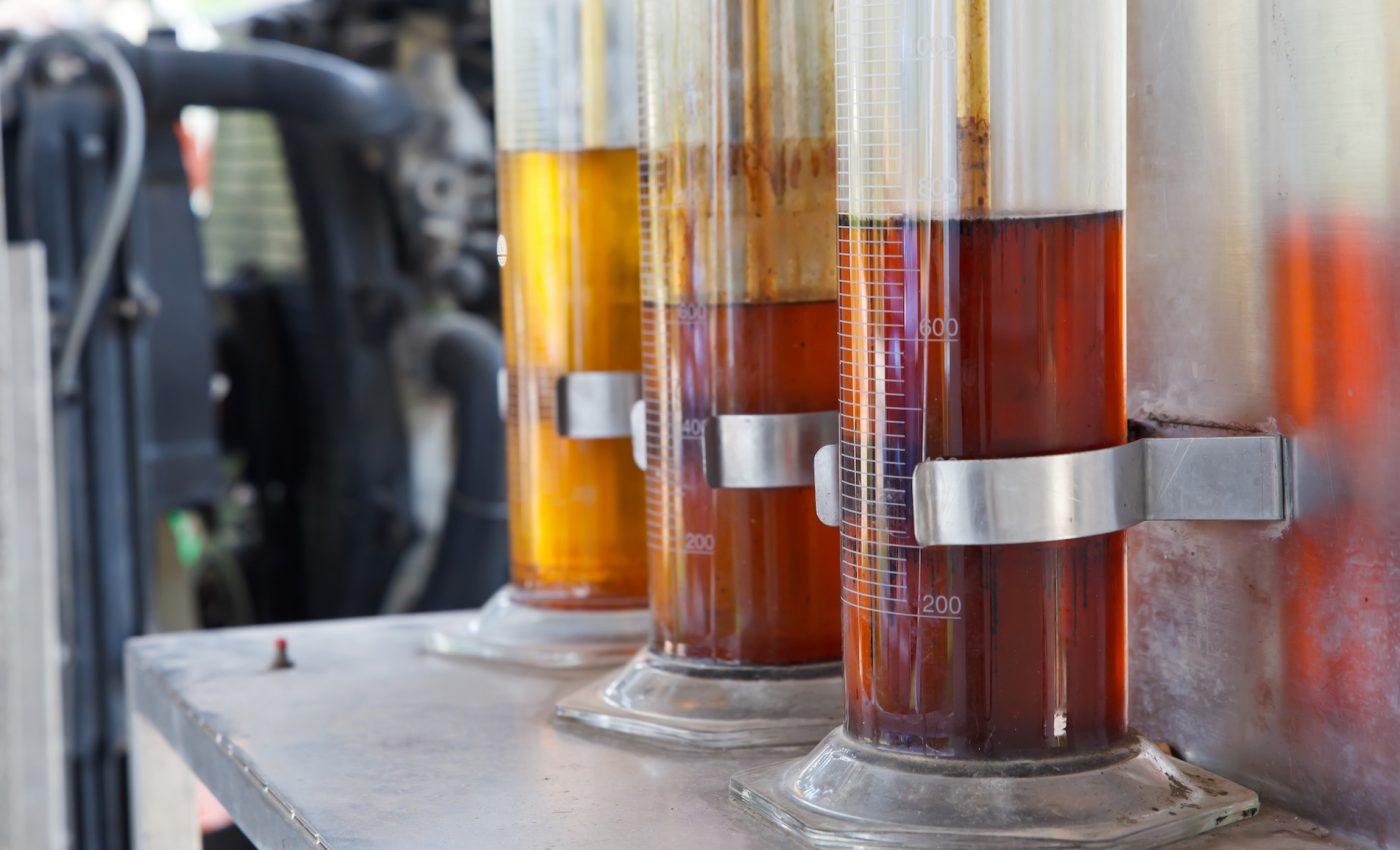 Boosting oil production in plants can help produce biofuels