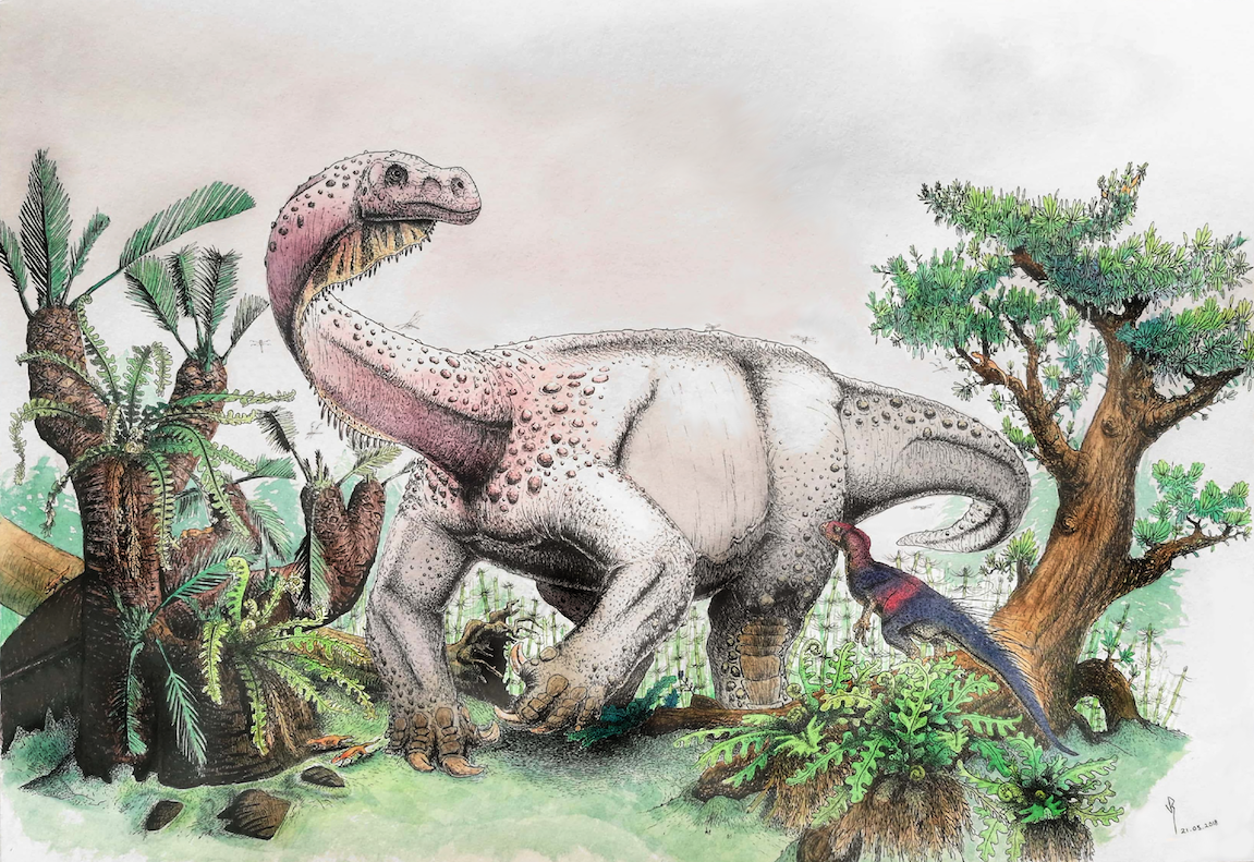 Brontosaurus relative shows how early dinosaurs walked on 4 legs