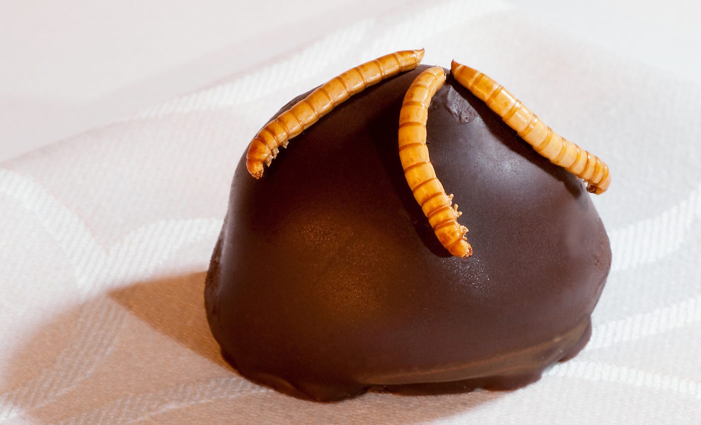 Insects are an eco-friendly source of protein - would you try one?