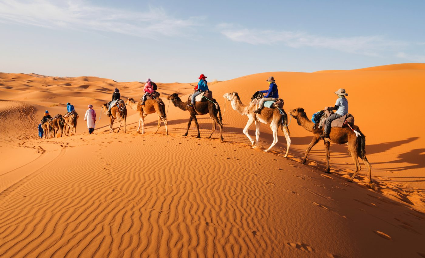Pastoralists may have delayed the desertification of the Sahara