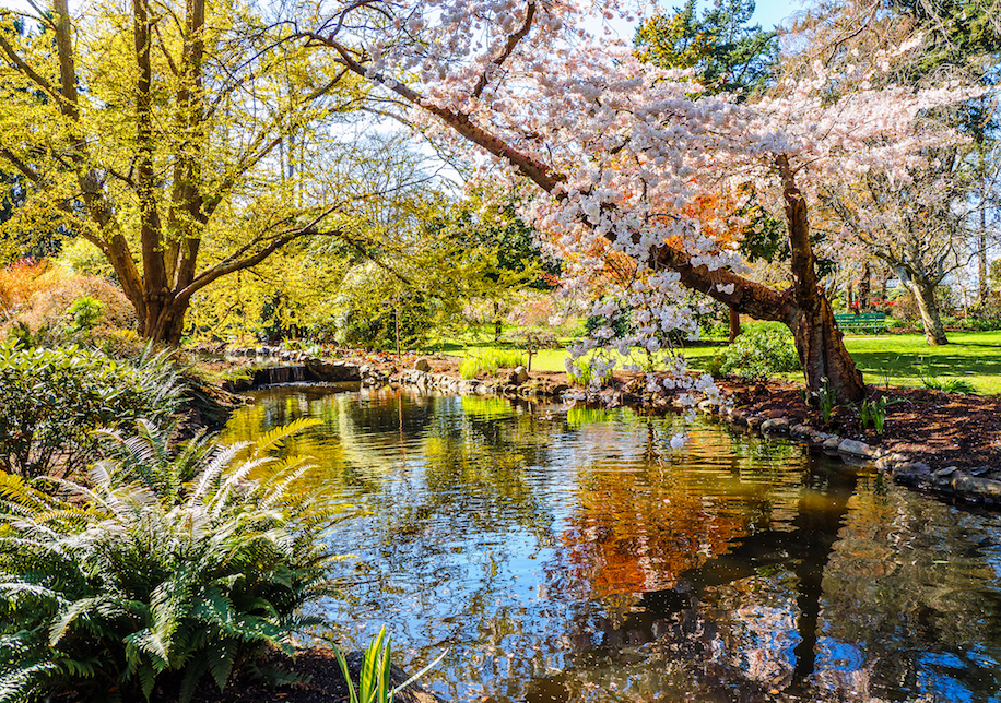 Earlier springtime hinders seasonal plant growth
