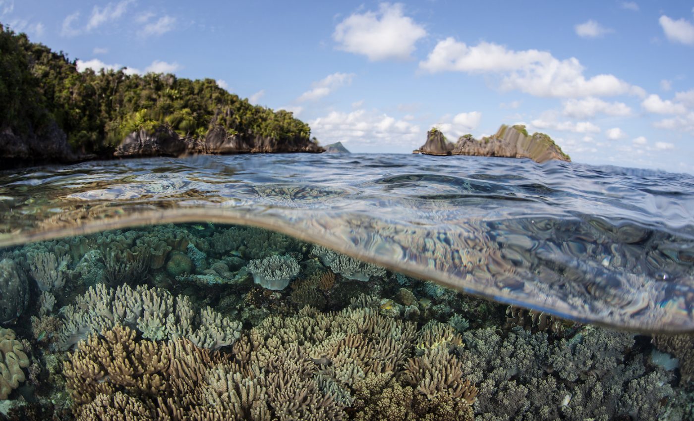 Why solutions for climate change need to focus on oceans