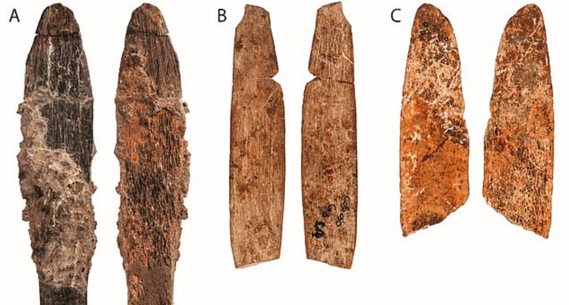 Stone age people fashioned tools out of animal bones 100,000 ago