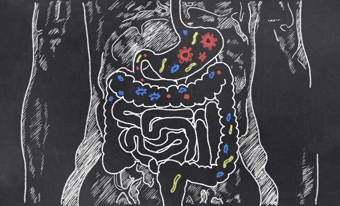 Scientists propose vault to protect good germs and gut flora