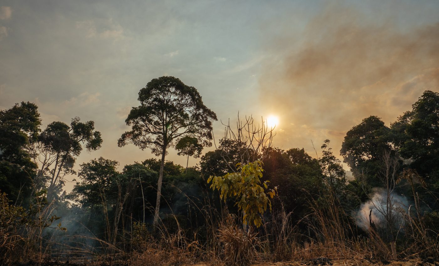 Amazon forest fires release 4 times more carbon than thought