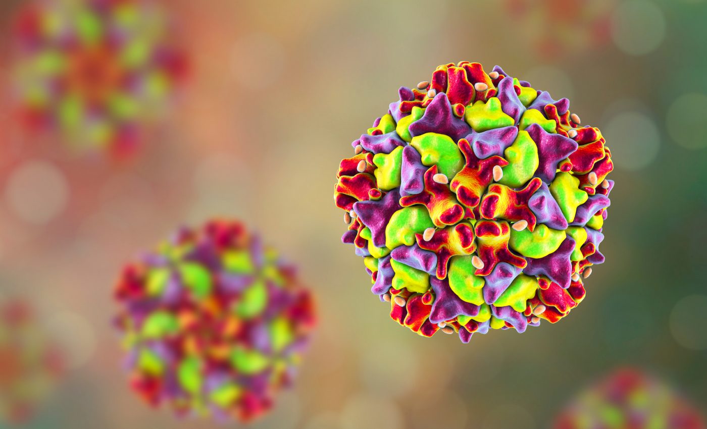 Full eradication of polio will require close environmental monitoring