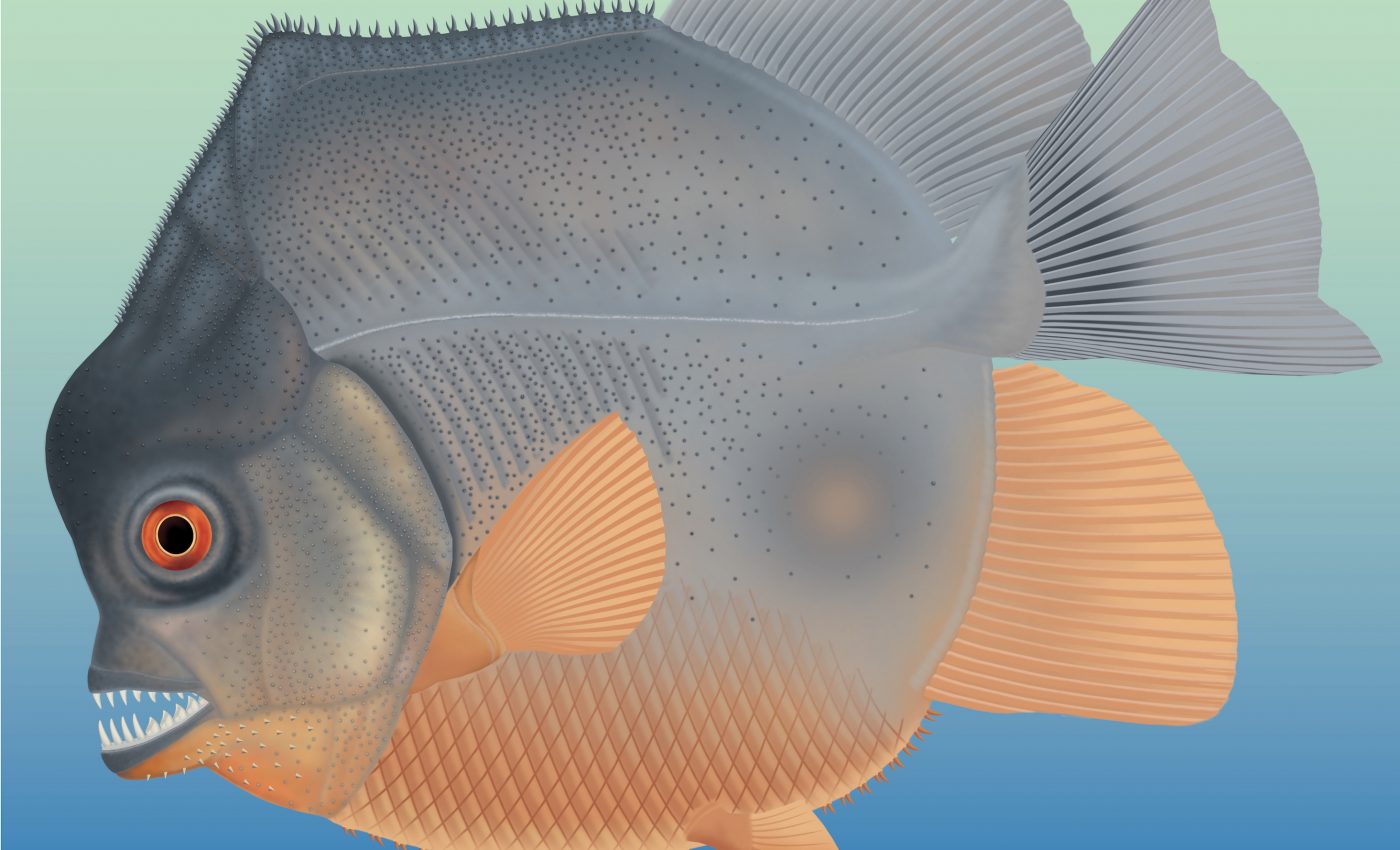 First known flesh-eating fish lived alongside the dinosaurs