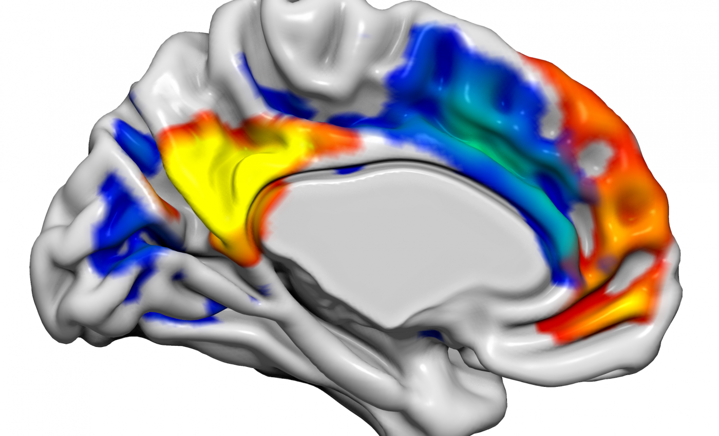Hormone that regulates reproduction could treat low sex drive