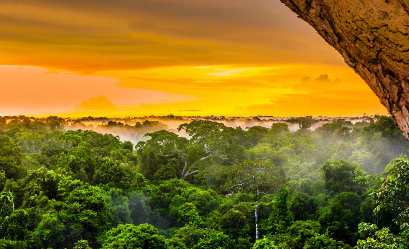 The next president of Brazil could devastate the Amazon rainforest