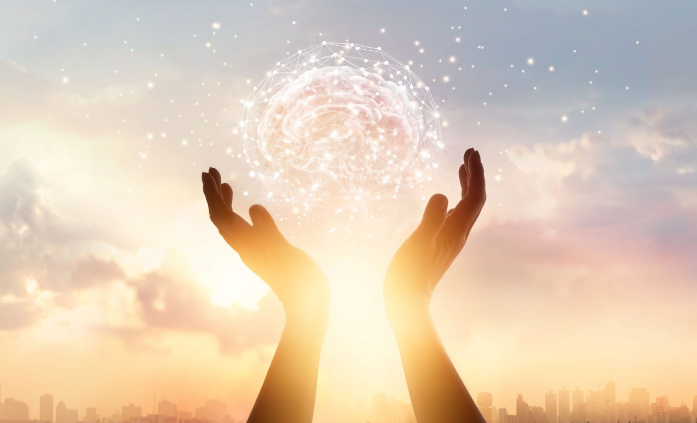 How working memory guides you through the day