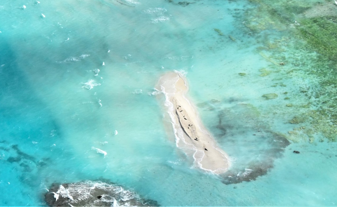 Entire island off the coast of Hawaii disappears after hurricane