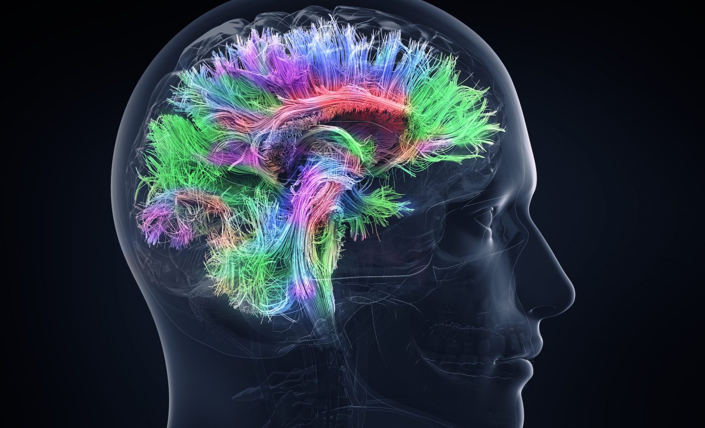 How does the brain decide which information to retain?