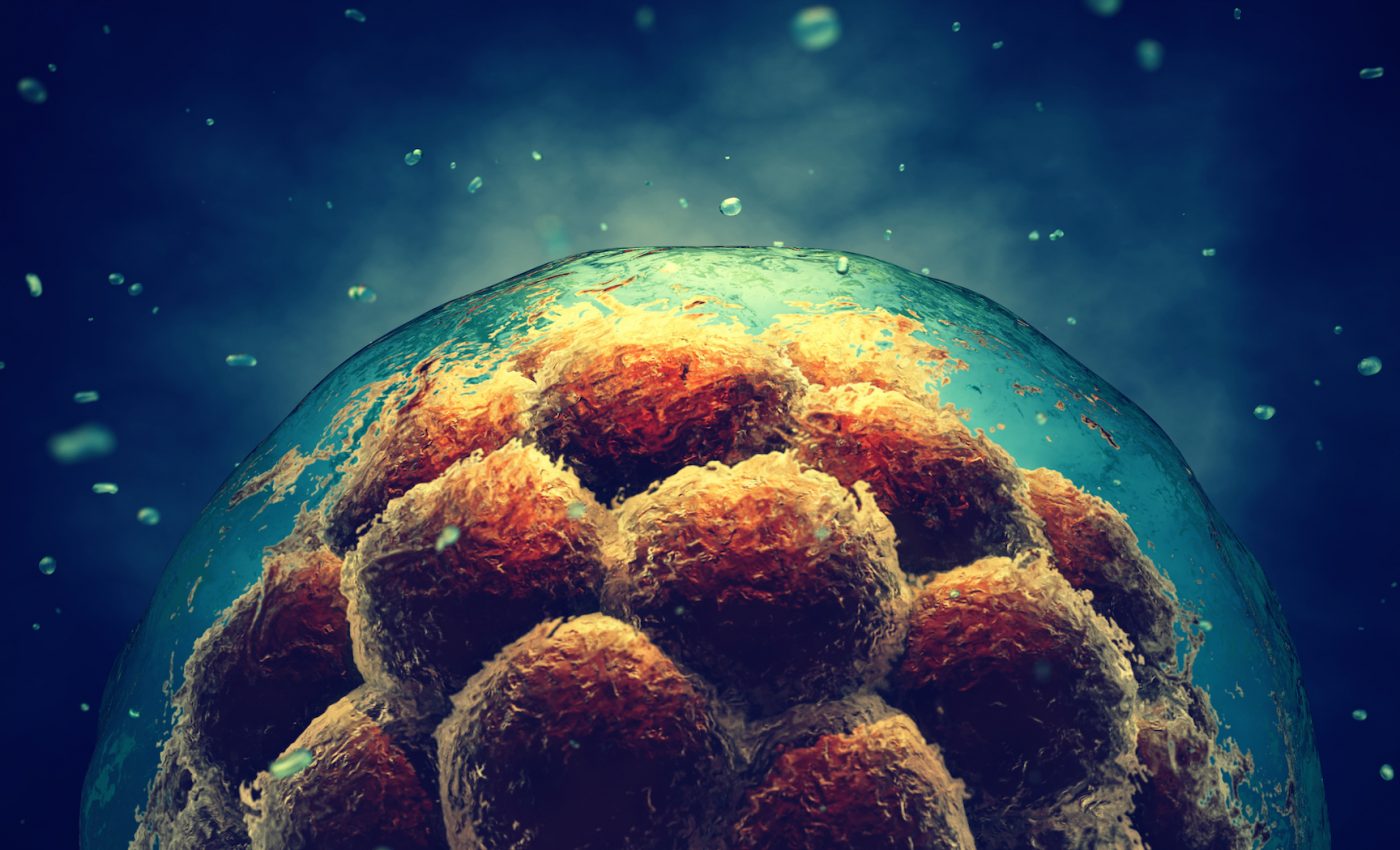 Human stem cell science has come a long way in 20 years