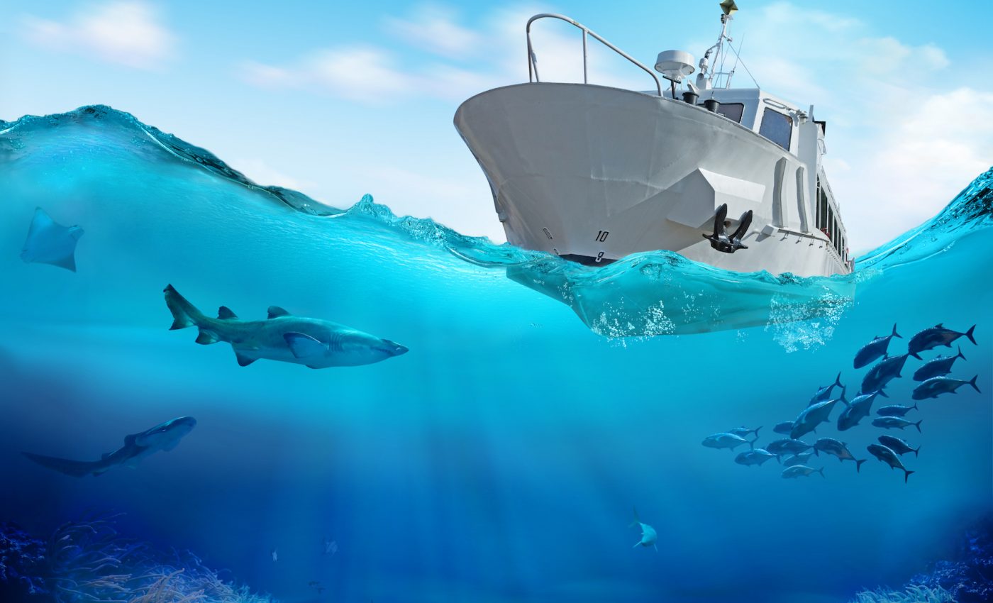 Slowing down boats can reduce underwater noise pollution