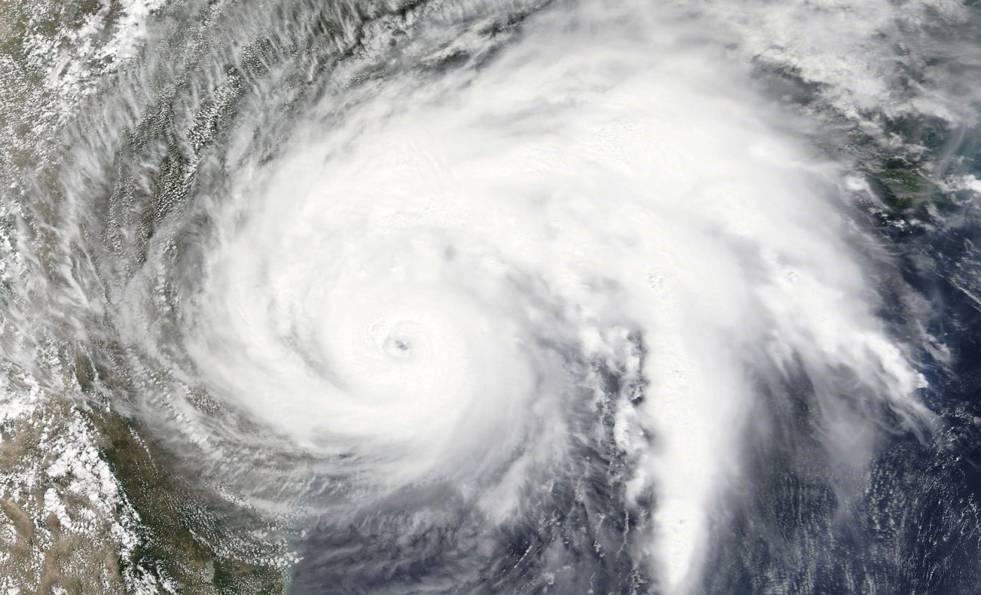 Gulf Coast fish continue to spawn amidst more extreme hurricanes