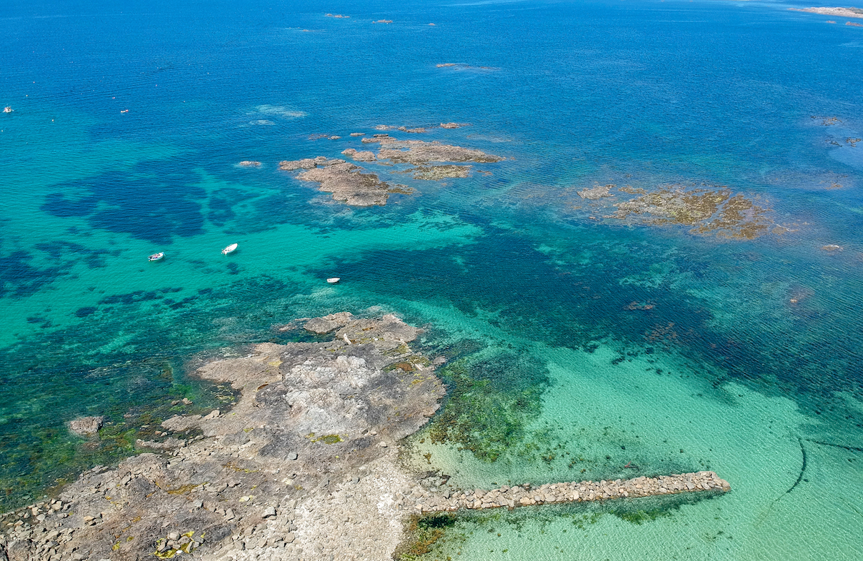 Warming waters are prompting major changes in marine ecosystems