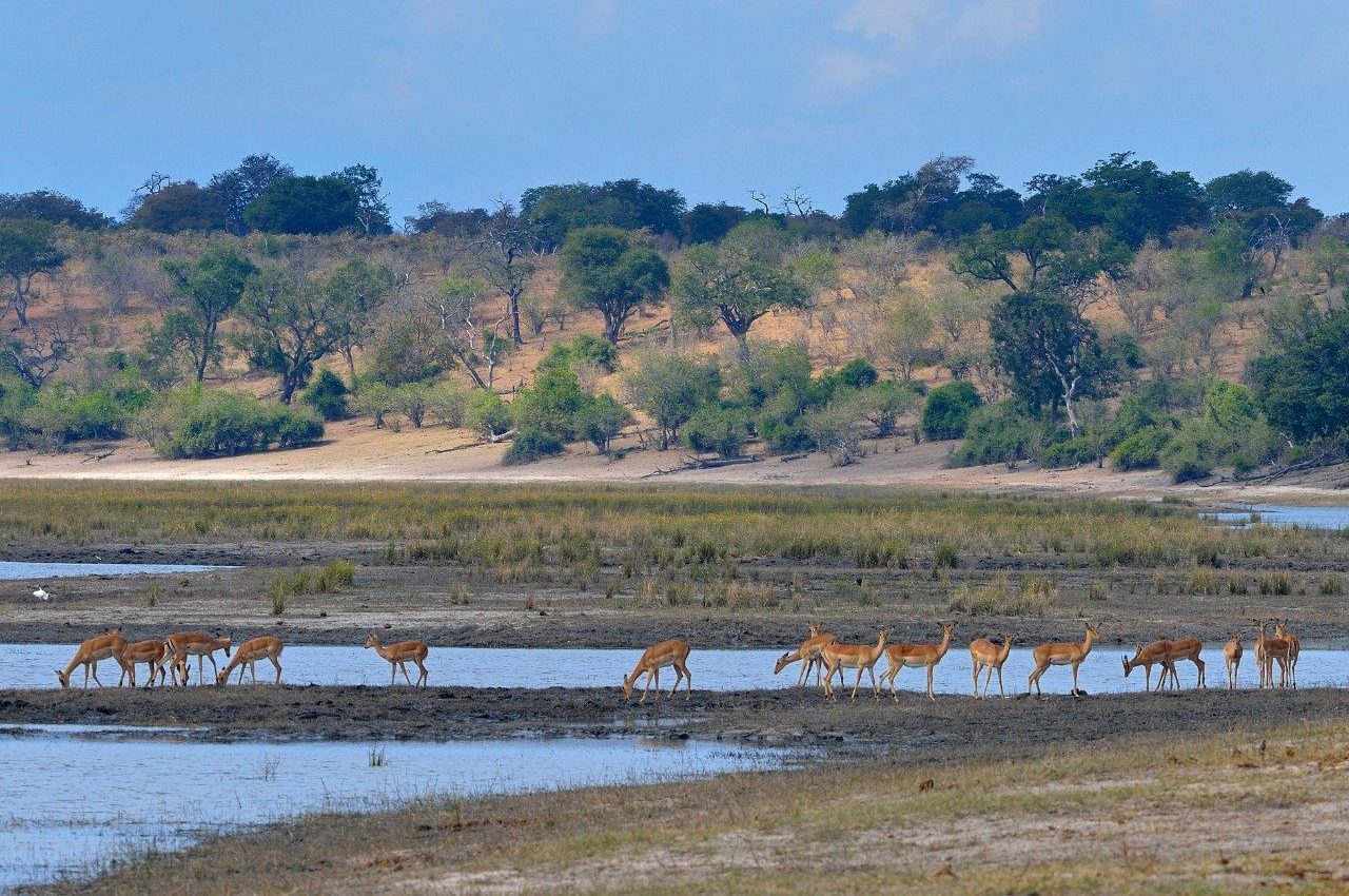 Changes in floodplain increase the risk of waterborne disease