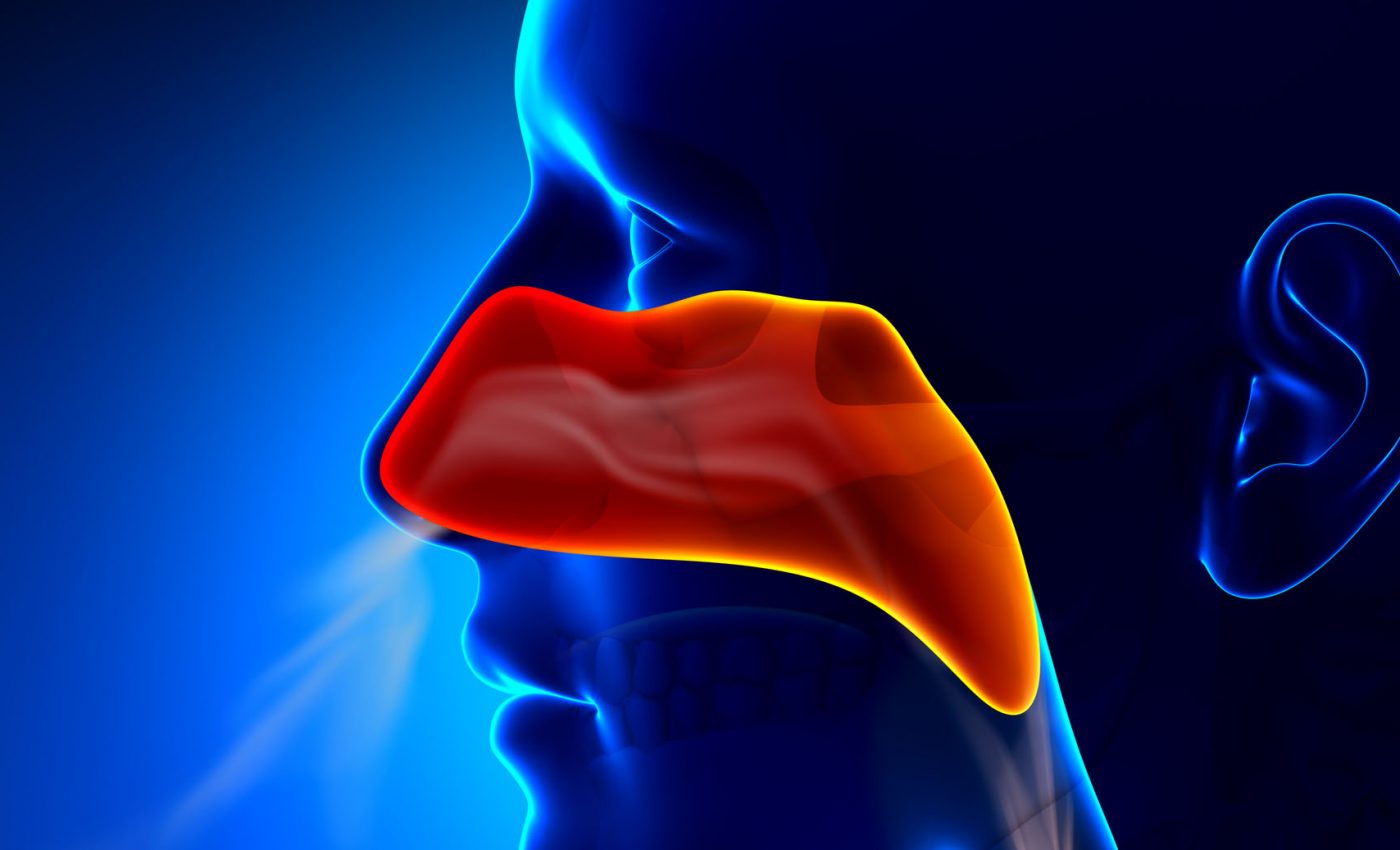 How your body protects you from the bacteria you inhale