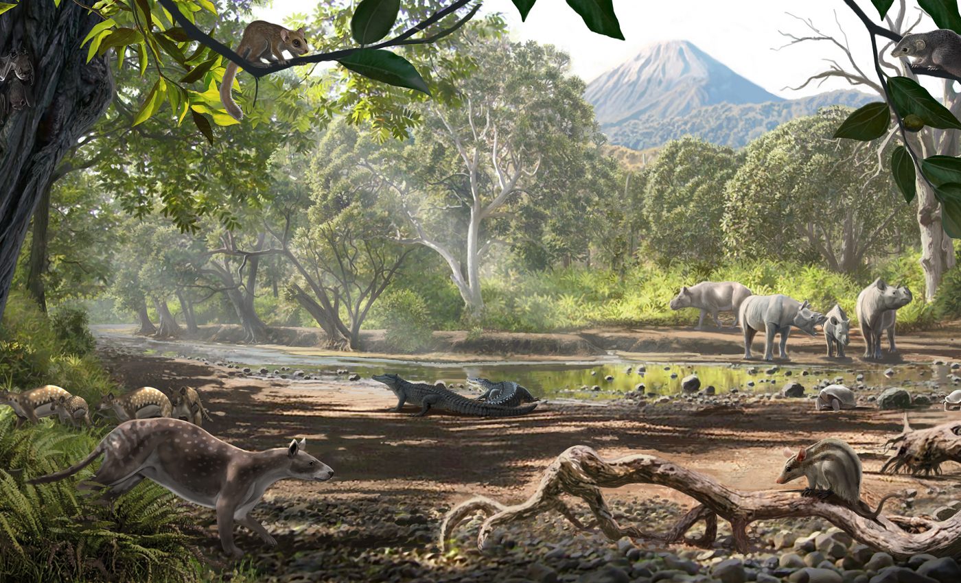 Marsupial fossils reveal evolution of unique island ecosystem