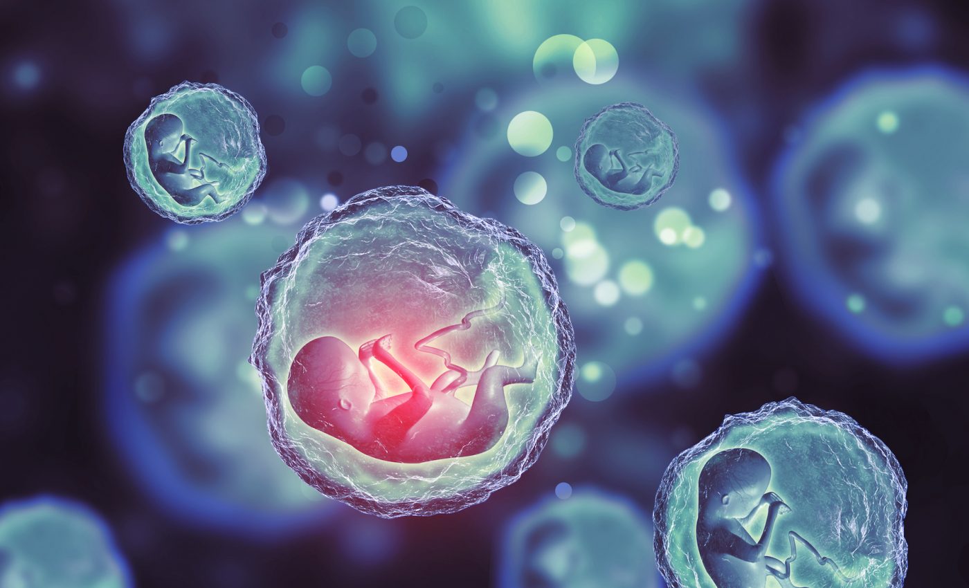 Embryo screening for IQ is now possible, but is it ethical?