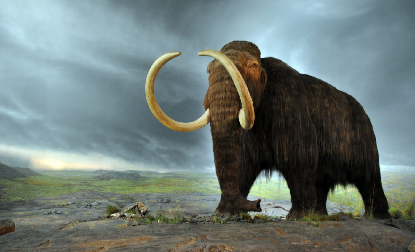 Resurrecting ancient animals: The ramifications of de-extinction