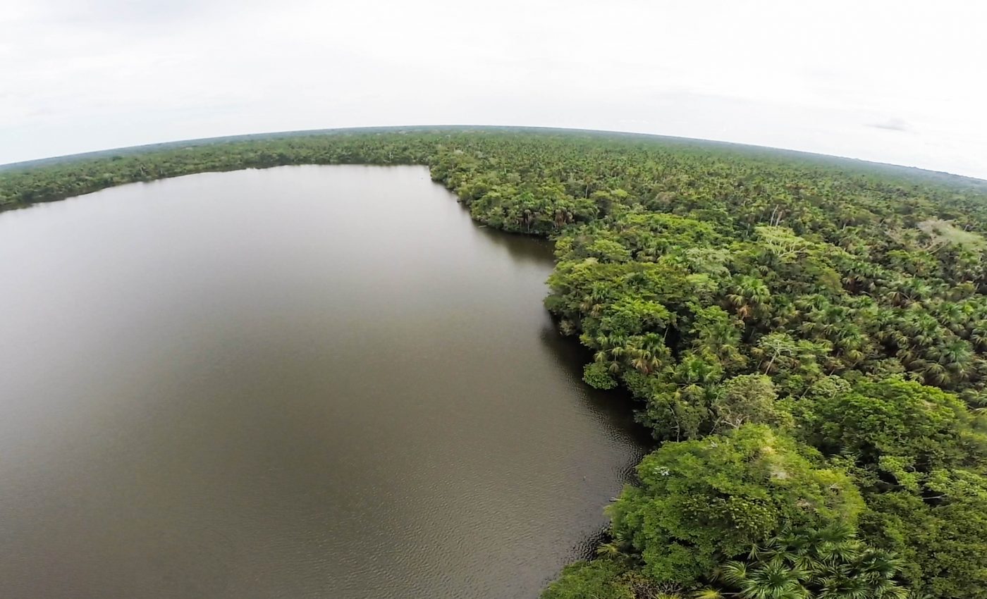 Peatlands: Carbon sinks on the brink of becoming carbon emitters