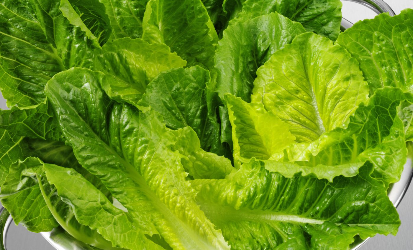 Romaine lettuce is not safe to eat in any form, CDC warns