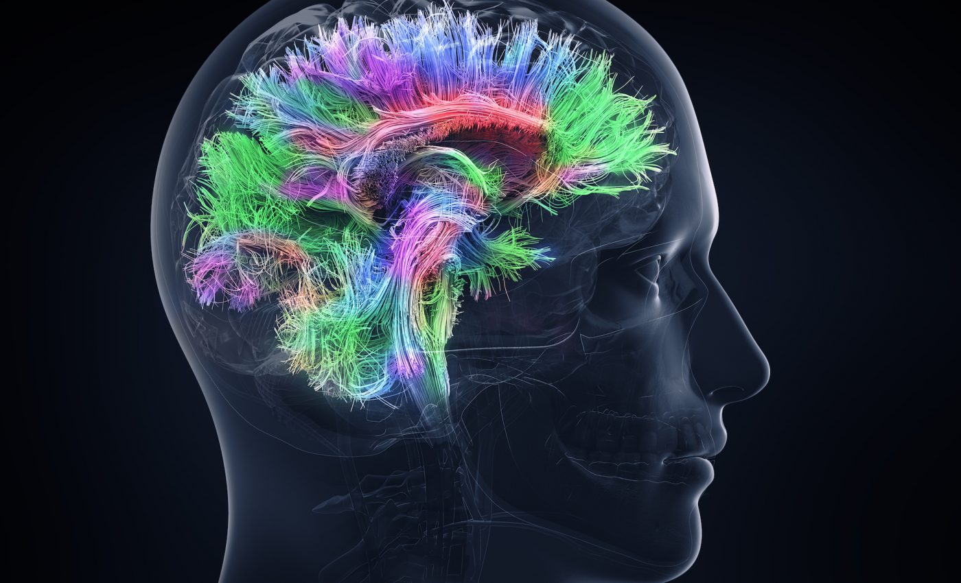 Newly discovered brain region could help to find a Parkinson’s cure