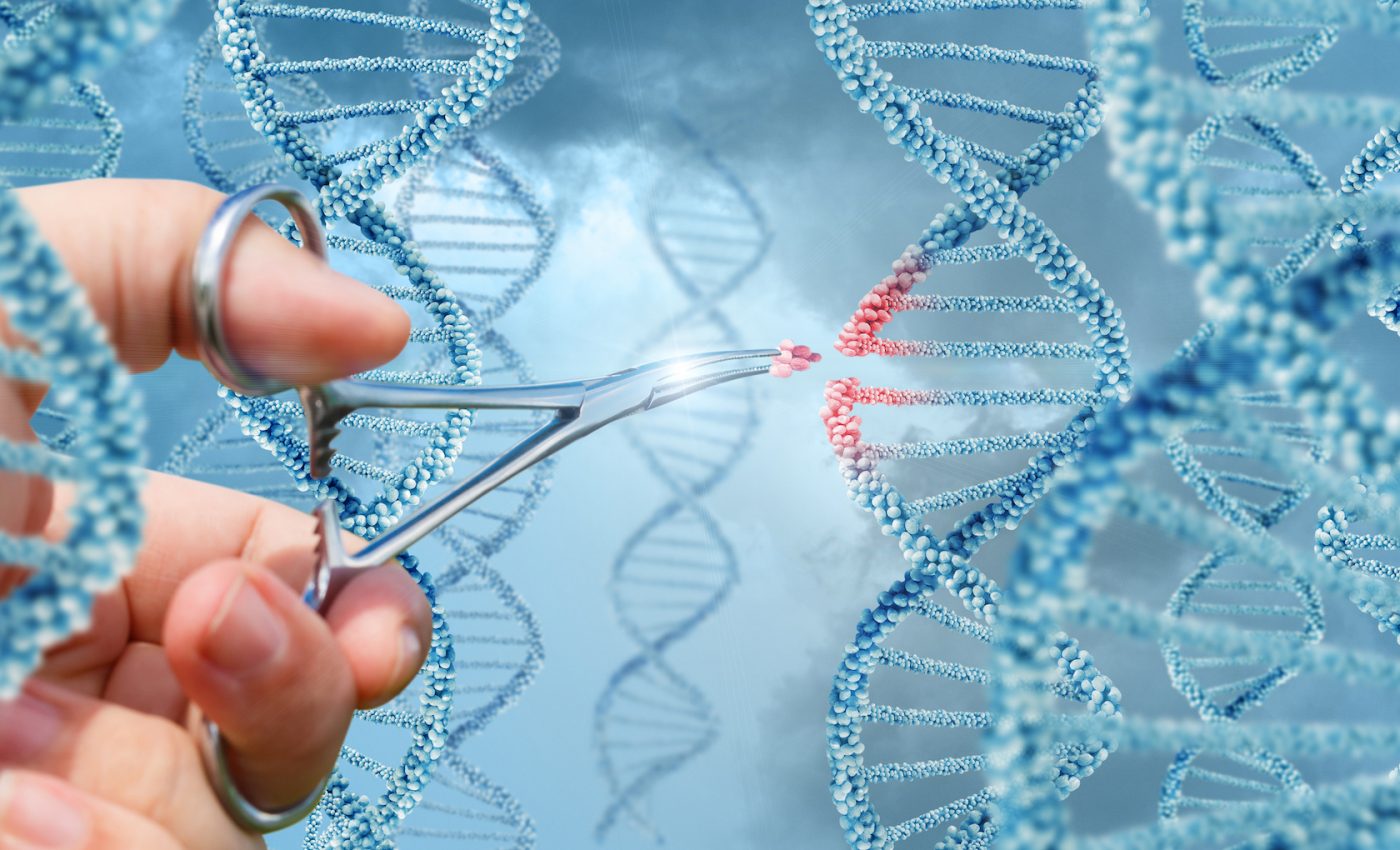 Chinese scientist claims to have gene-edited the DNA of twin babies