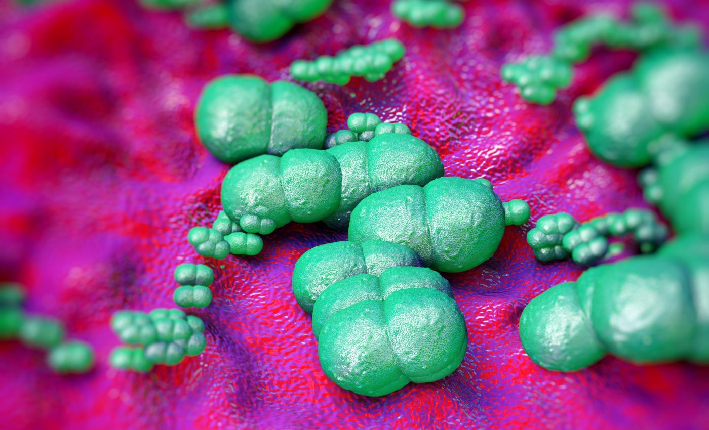 This common bacterium is becoming increasingly antibiotic-resistant