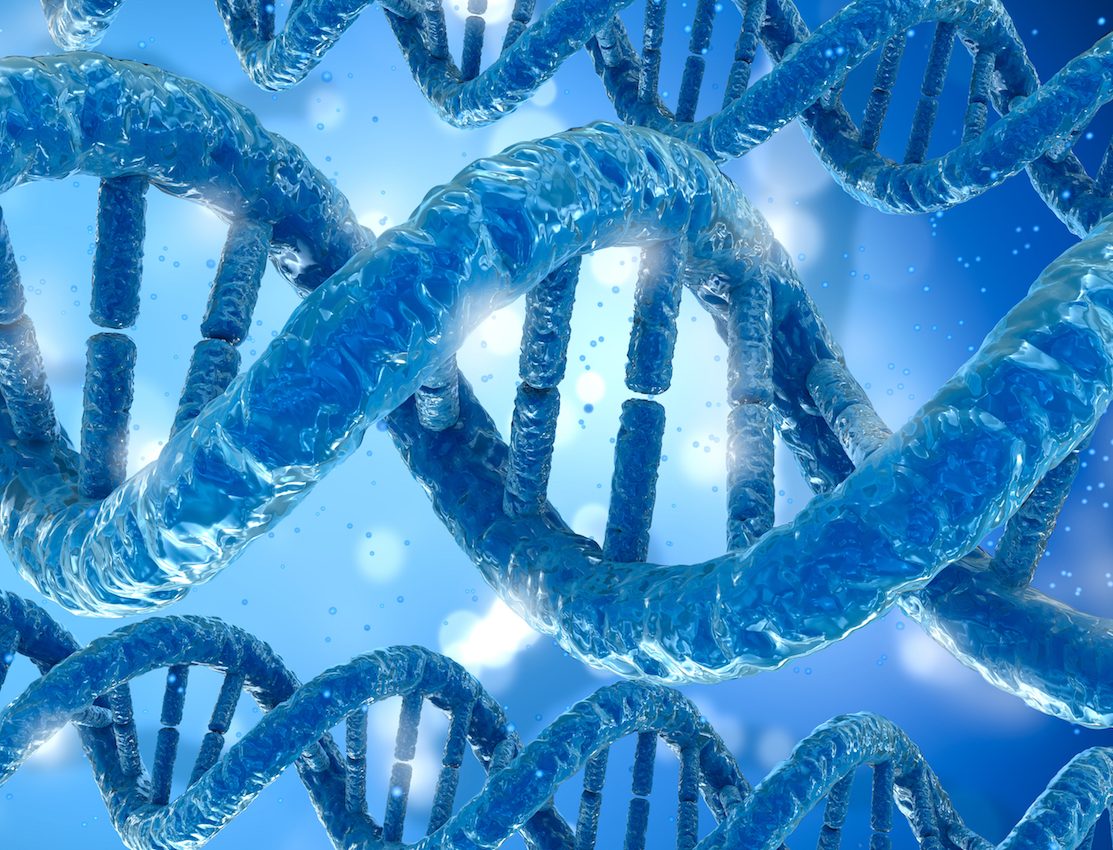 Breakthrough research shows dads can pass along mitochondrial DNA