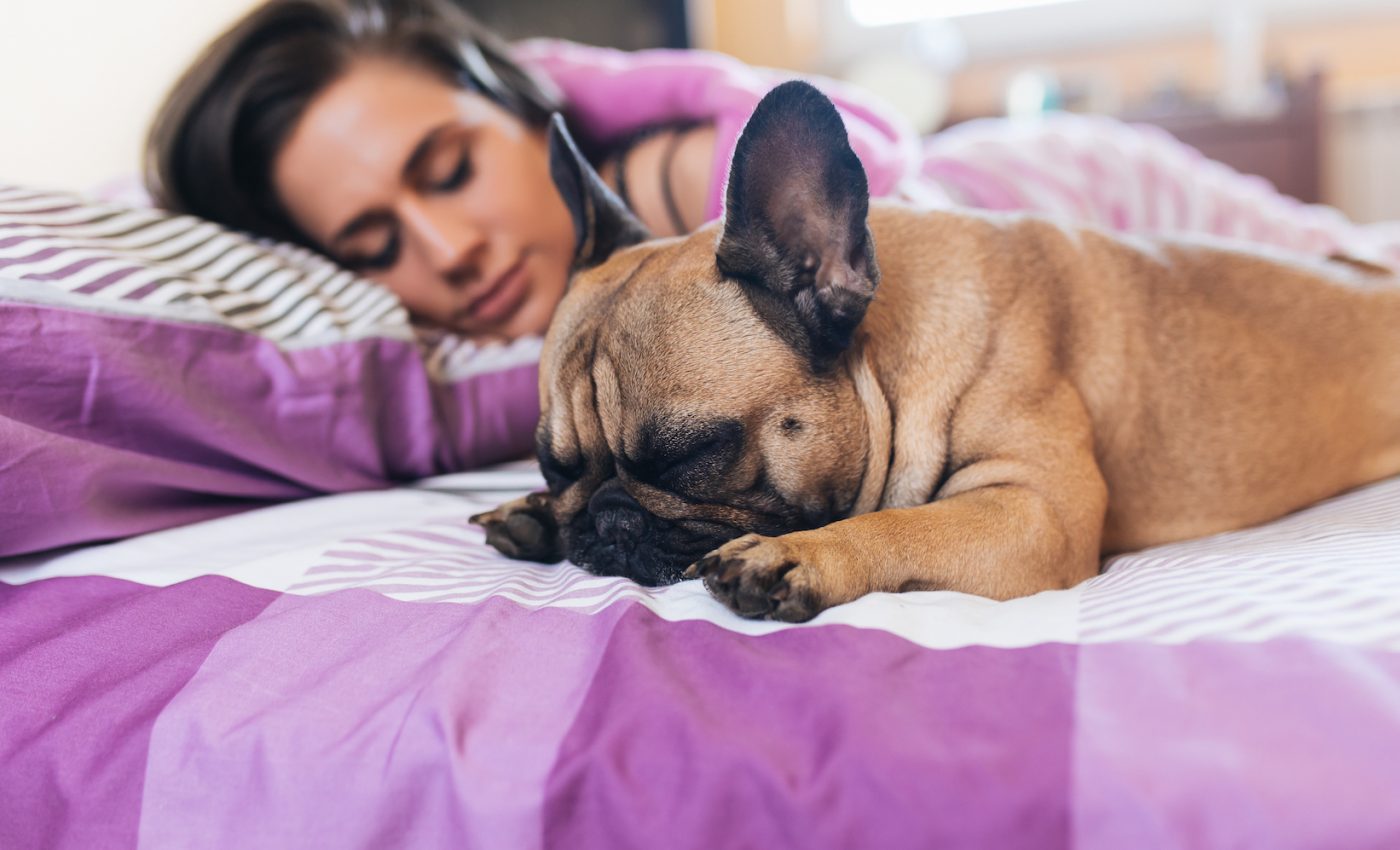 Study: Women sleep better next to a dog than with a human partner